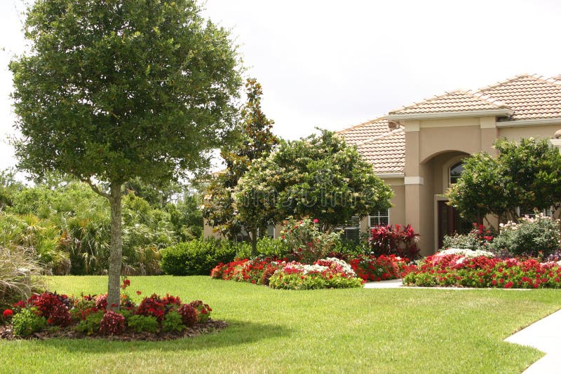 Garden renovation