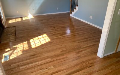 Home Flooring Upgrade